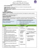 PLANIFICACIÓN DE DESARROLLO CURRICULAR (AULA) “Vive con valores en medio de la Tecnología”