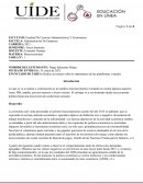 Macroeocnomia, importancia de las plataformas virtuales