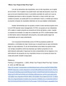 Ensayo What´s Your Project's Real Price Tag