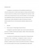 Ensayo Recurso de Impugnación