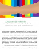 Apreciación del muralismo