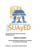 Examen neurociencias del comportamiento