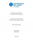 Balanza comercial Colombia Ecuador