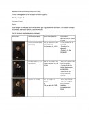 Investigación de los virreyes de Nueva España