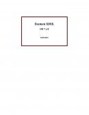 Derecho administrativo y documentos requeridos por los organismos públicos