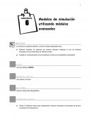 Uso del software ARENA