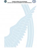 CONFORMACIÓN DEL SISTEMA DE SEGURIDAD DEL ALA DE COMBATE NRO.23