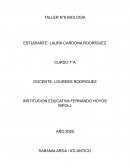 TALLER N°6 BIOLOGIA
