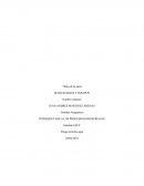 Maquinarias y equipos