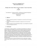 PRÁCTICA 03: HIDROESTÁTICA