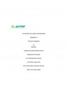 Reporte de proyecto integrador