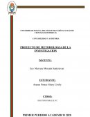 PROYECTO DE METODOLOGIA DE LA INVESTIGACION