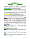 Aprendiendo a caminar