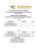 Plan de negocios SOCIEDAD AGRICOLA RAPEL S.A.C