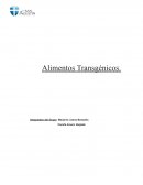 Alimentos Transgénicos