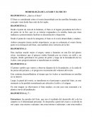 MORFOLOGÍA DE LA FLOR Y EL FRUTO