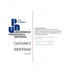 Trabajo final de cultura e identidad
