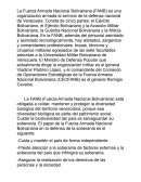 Fuerzas armadas venezolanas