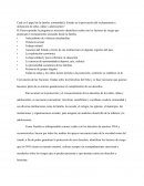 Reclutamiento de NNA