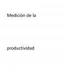 MEDICION Y MEJORAMIENTO DE LA PRODUCTIVIDAD