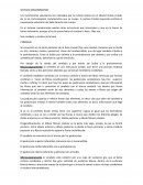 Sistema somatomotor