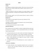 BRIEF PRODUCTO:Labiales