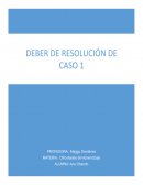 Informe Ejemplo Problemas de Aprendizaje Escolares PE