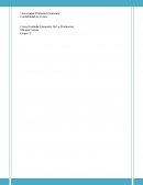 Costos Estándar Elementos De La Producción