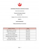 Desarrollo de proyectos internacionales AJE