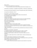 La perspectiva del procedimiento de la información