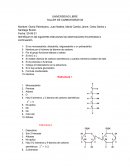 TALLER DE CARBOHIDRATOS