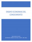 Ensayo economias del conocimiento (COLOMBIA)