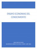 Ensayo economias del conocimiento (COLOMBIA)