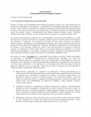 El sistema de información de marketing SIM