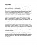 Derechos humanos-pandemia