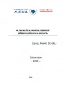 LA GARANTÍA A PRIMERA DEMANDA: obligación autónoma o accesoria