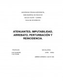 ATENUANTES, IMPUTABILIDAD, ARREBATO, PERTURBACIÓN Y REINCIDENCIA