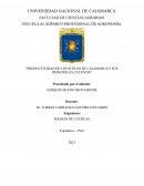 Productividad de los suelos de cajamarca y sus principales cultivos