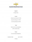 Ejemplo de informe en caso desde la psicologia clinica