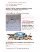 PRUEBAS DIAGNÒSTICAS DEL ÀREA DE ECA