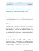 Actividad 2. Caso Cherubina: diseño de la UX y percepción de seguridad en tienda online