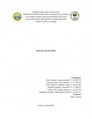 SISTEMA DE GESTIÓN. ISM CODE