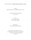 DISEÑO DEL PRODUCTO DE LA EMPRESA P&D DEL PLÁTANO