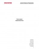 Plan de negocio “Empresa Saca Polvo”