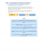 T2 conocimiento como recurso economico