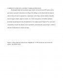 CAMBIO EN EL ROL DE LA MUJER Y FAMILIAS PERUANAS