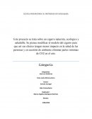 Anteproyecto Proyecto Neurona Cigarre naturiste