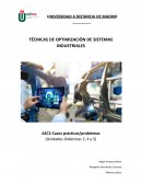 Optimización en sistemas industriales