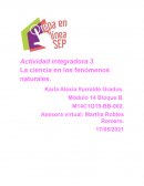 La ciencia en los fenómenos naturales: Los incendios forestales