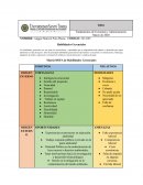 Habilidades Gerenciales